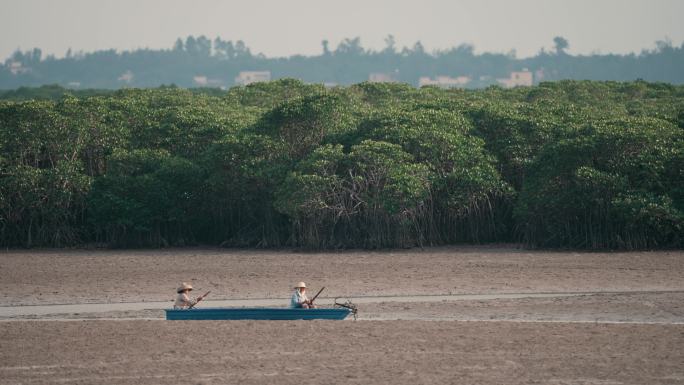 红树林湿地赶海