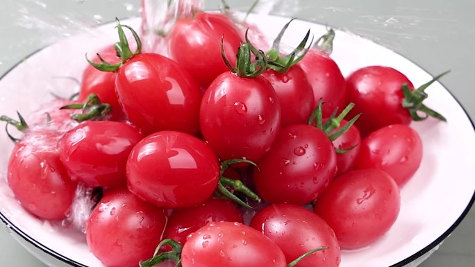小西红柿番茄圣女果西红柿
