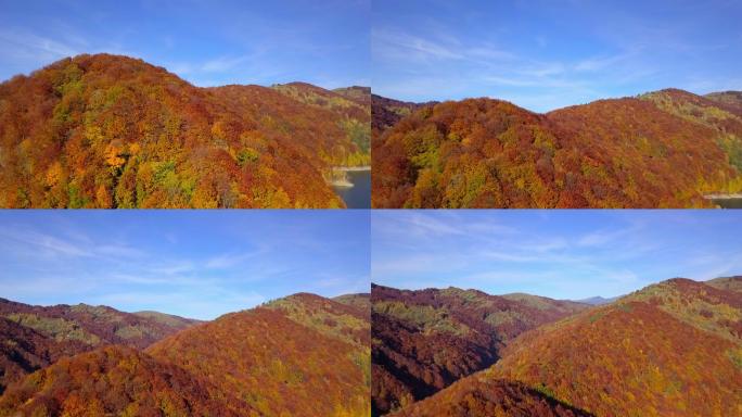 飞越山脊景观航拍秋天秋季漫山红遍