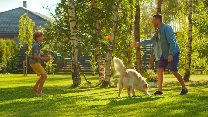 父子和忠金毛猎犬在家庭后院玩耍。