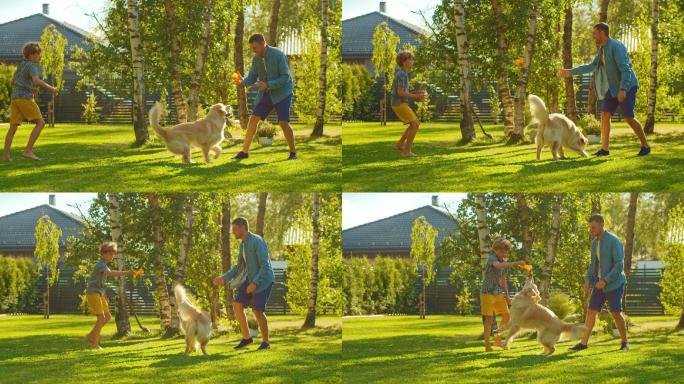 父子和忠金毛猎犬在家庭后院玩耍。