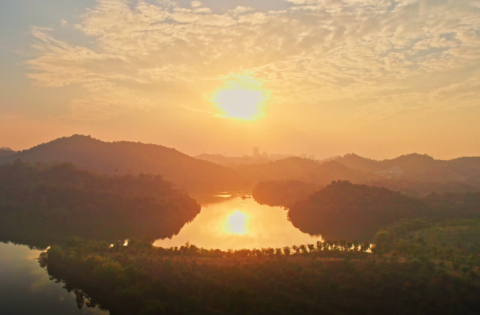 深圳平湖生态园 龙岗区平湖