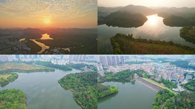 深圳平湖生态园 龙岗区平湖