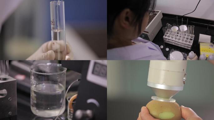 实验室猕猴桃奇异果实验检测化学农业产业