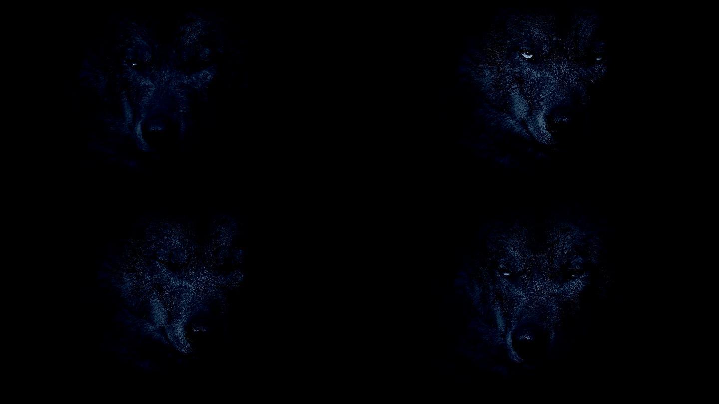 下载手机图片:狼, 夜晚, 嚎叫, 奇幻, 奇幻动物，免费458550。