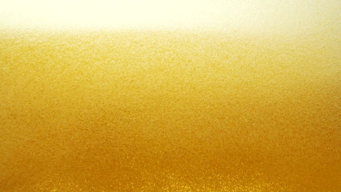 啤酒酿酒发酵碳酸