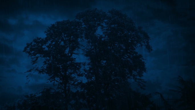 雷雨交加的夜晚