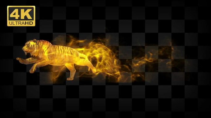 原创-4K-金色老虎奔跑拖尾粒子（循环）