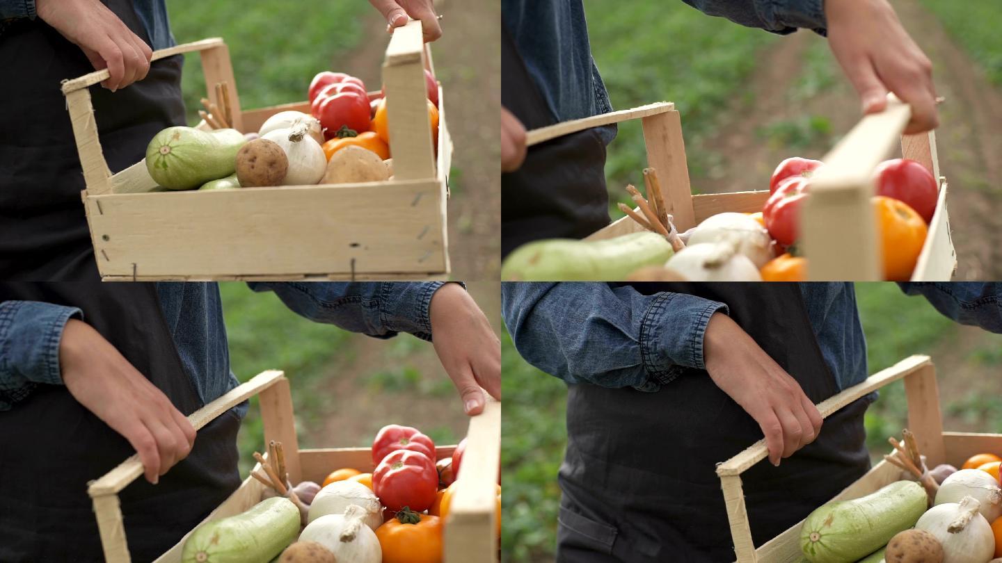 农夫手里拿着一盒有机蔬菜