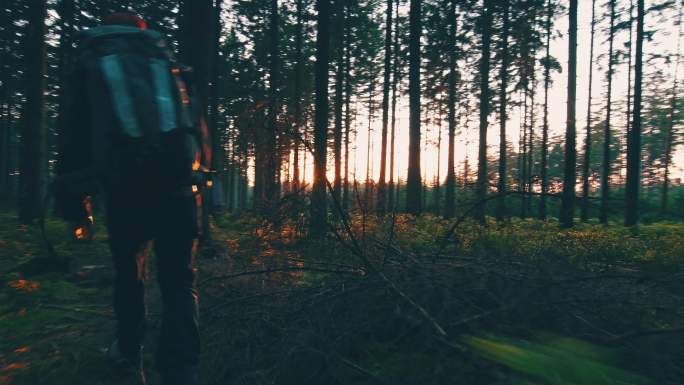 徒步旅行者在寂静的森林里行走
