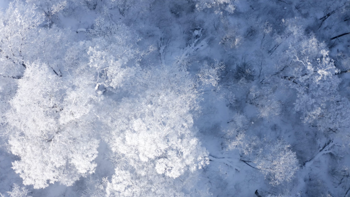 【4K】长白山雪景航拍空镜