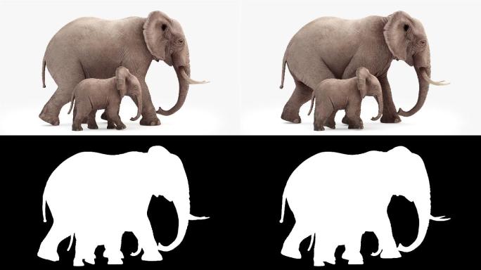大象和大象宝宝三维大象走路大象小象寻找食