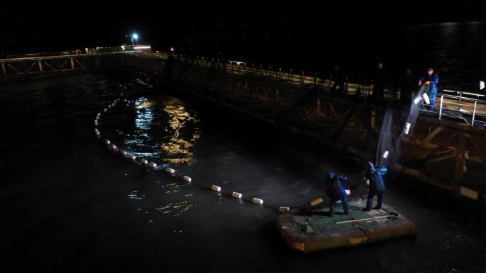 洞头大黄鱼 养殖 大海 旅游 捕捞