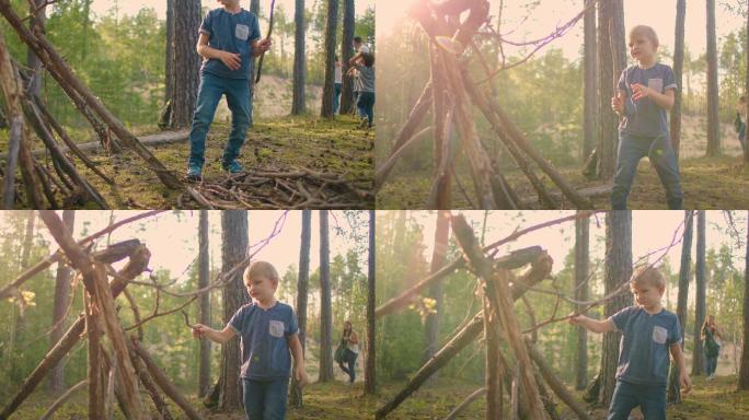 男孩在森林中捡柴火