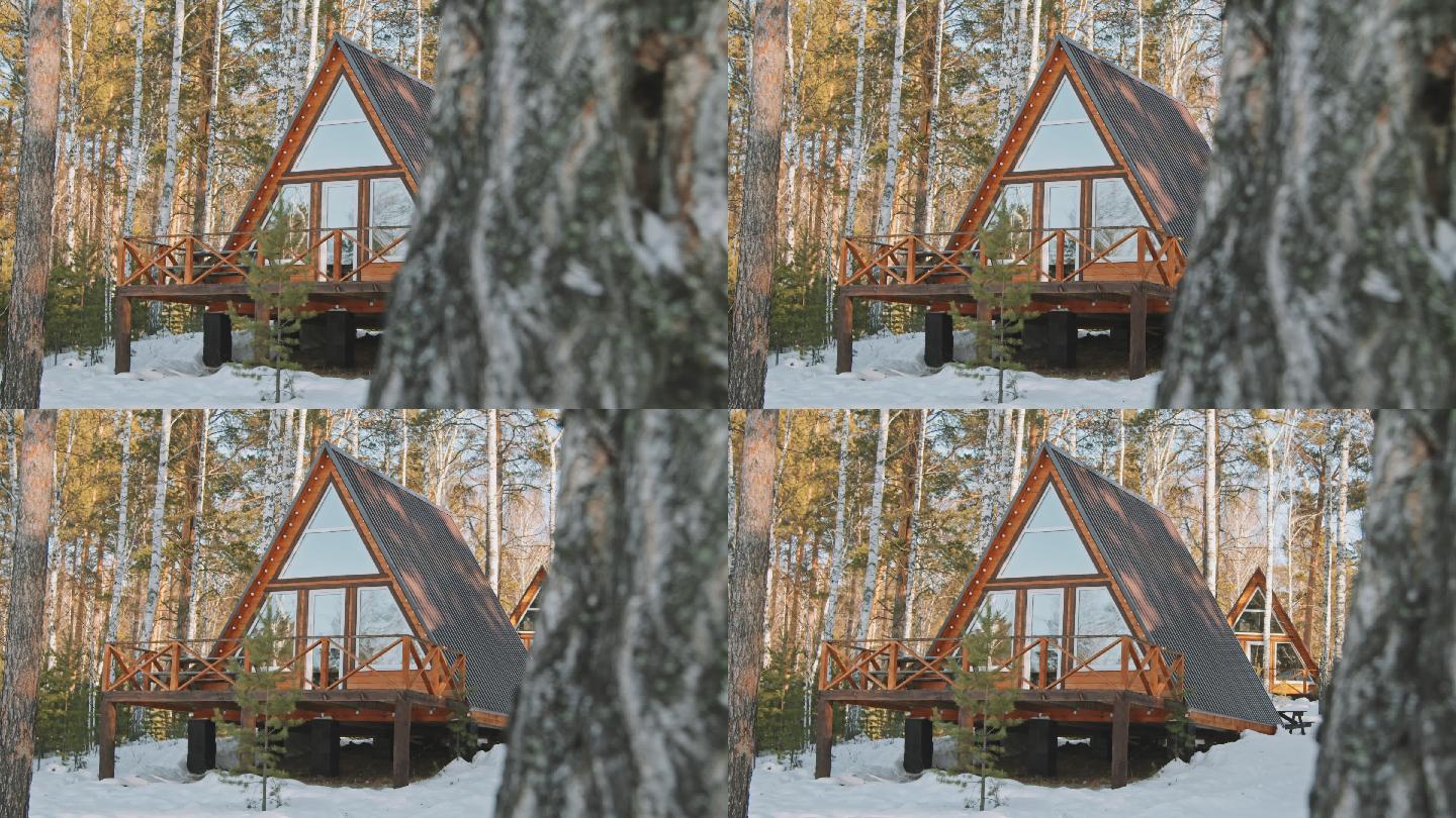 森林中的房屋冬季雪花下雪雾凇风景