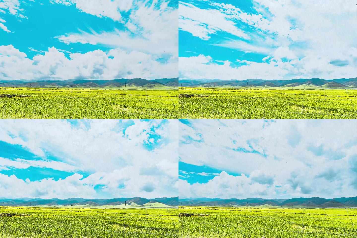 青海湖油菜花云层翻涌壮观绝美延时摄影