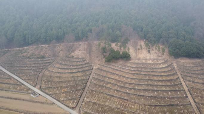 原创航拍雾霾天大雾山林中的空旷地