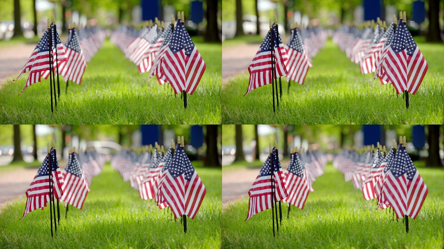 一排美国国旗立在政府大楼的草坪上