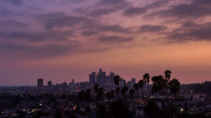 洛杉矶市中心和棕榈树延时拍摄