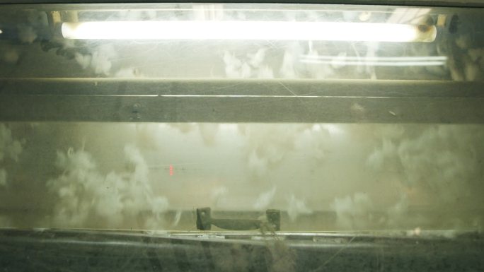 工业轧棉机中的棉花分离和加工设备