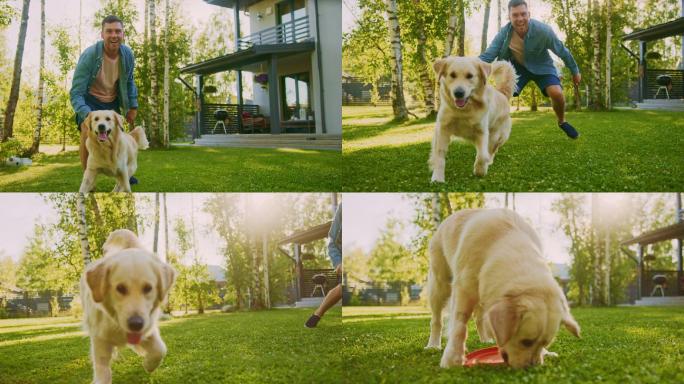 男人在草坪上和金毛猎犬玩飞碟。