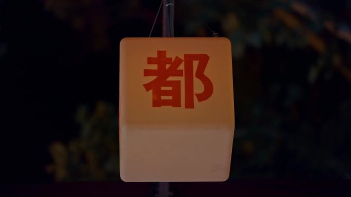 春节人名姓氏灯笼高清视频素材