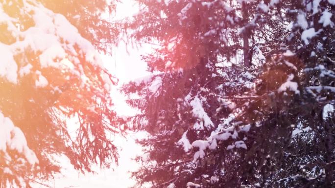 降雪覆盖木屋和树木的动画