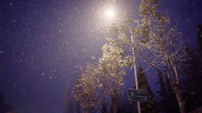 实拍1080P升格慢动作雪夜路灯雪景视频