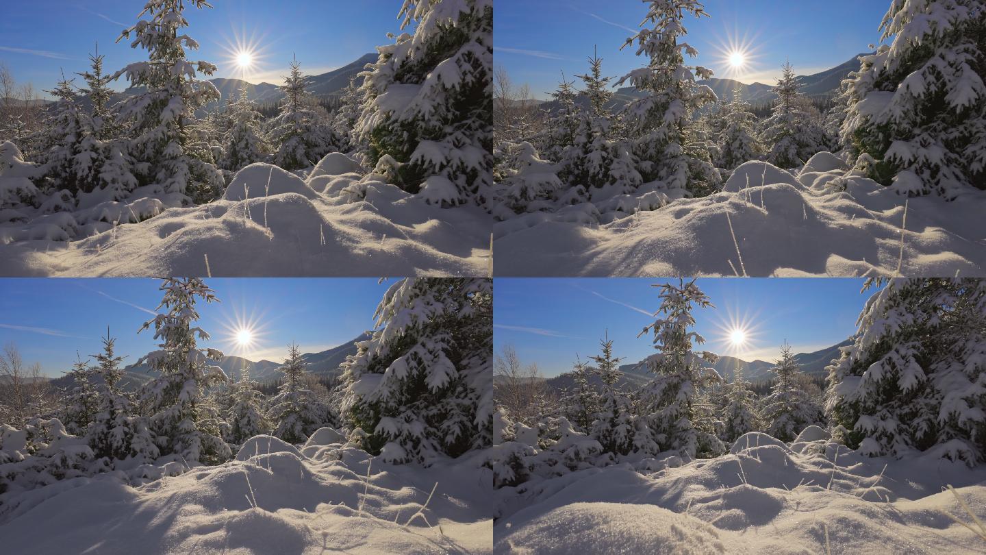 晨光照亮了树木、山脉和雪地。