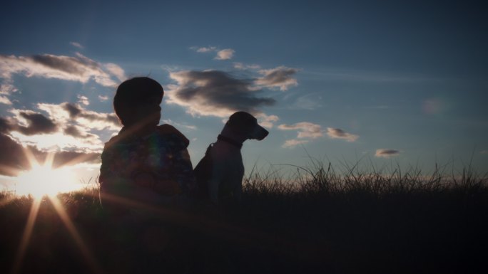 儿童和狗观看日落的剪影