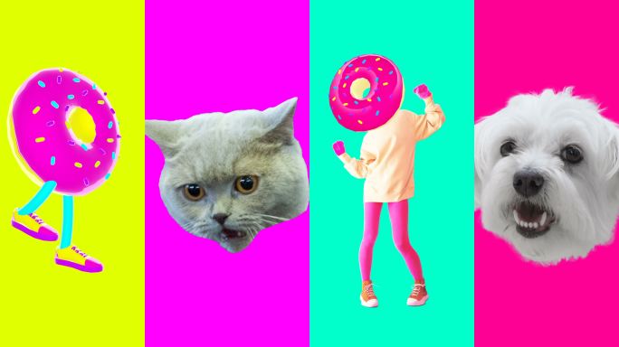 甜甜圈和小猫视频素材