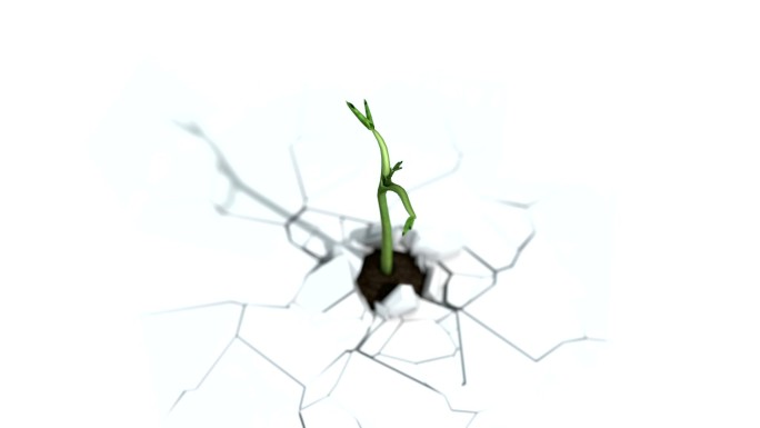 正在生长的植物视频素材结果根系长大繁衍
