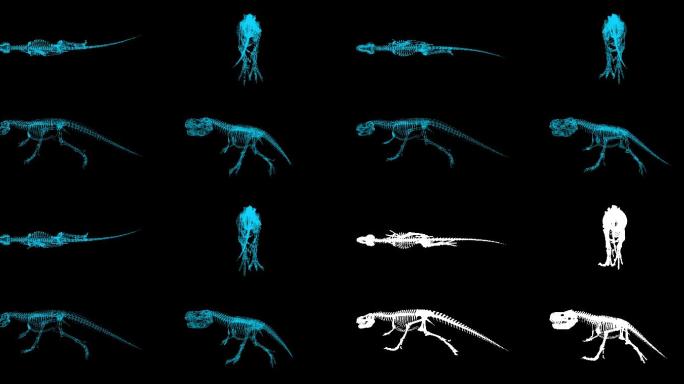 恐龙X射线骨架跑步