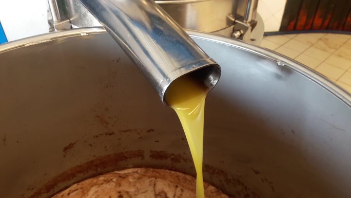 橄榄油农产品车间生产压榨纯正