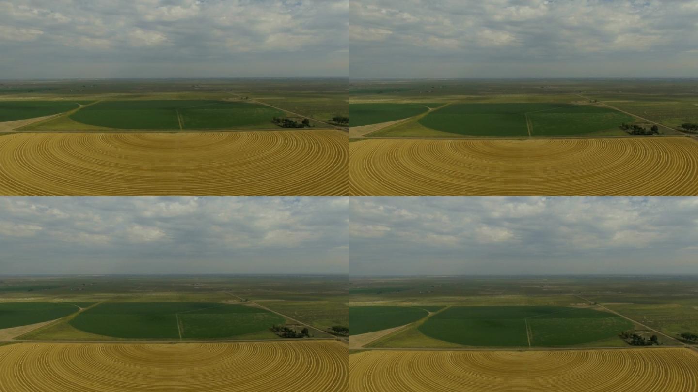 对称的半圆形农场新农村三农种植小麦