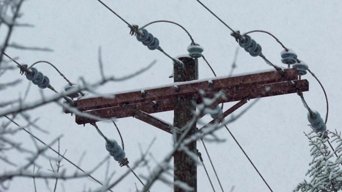 电线杆树木钢缆暴风雪