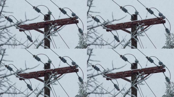 电线杆树木钢缆暴风雪