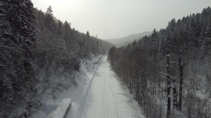 航拍冬季雪地公路
