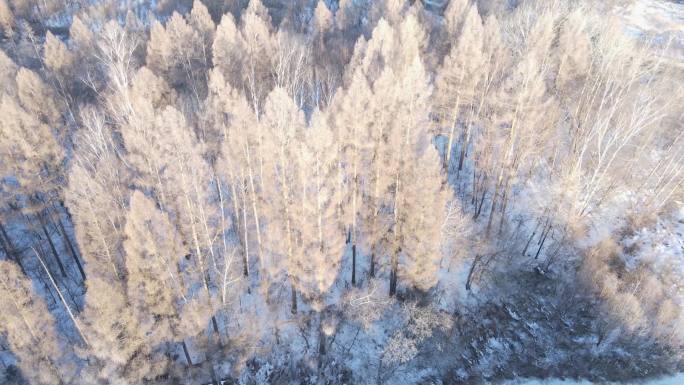 吉林省长白山雾松魔界冰雪漂流