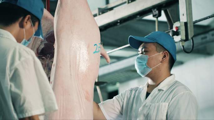生猪屠宰厂生产线检测全过程