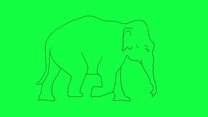 卡通手绘大象在绿色屏幕上缓慢行走