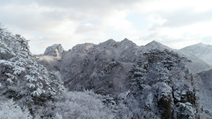 冬日雪松山脉