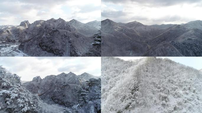 冬日雪松山脉