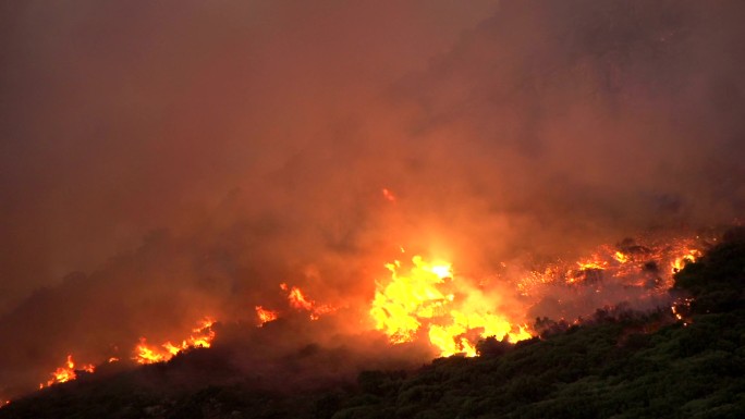 丛林大火山火责任人不可原谅