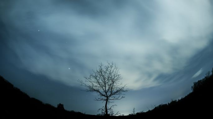 星空下的孤树宇宙星河夜空星星斗转星移