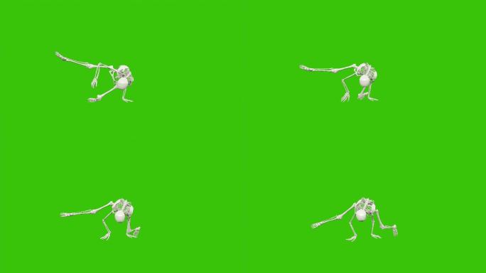 骷髅舞。绿色屏幕上的无缝循环动画。