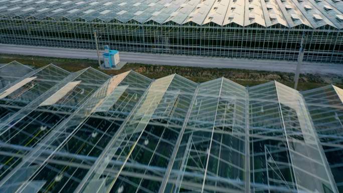 温室植物鸟瞰图大棚玻璃房航拍水果