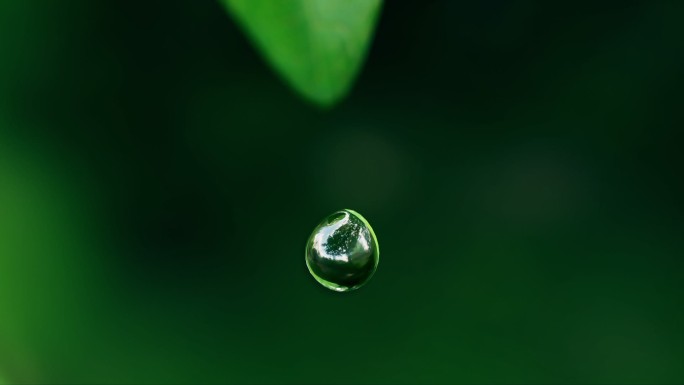 植物生长 发芽 生长  企业形象