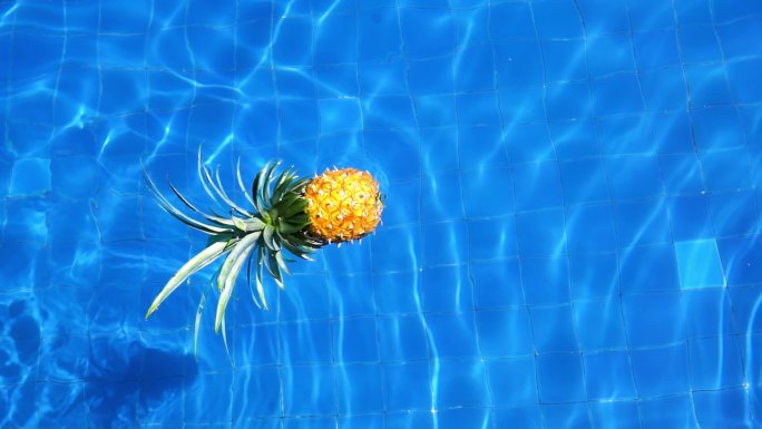 水池上漂浮的菠萝