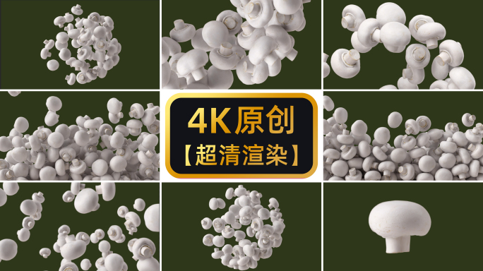 【4K原创】蘑菇6组分镜超清展示动画